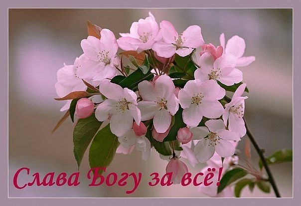 Сергей Чебунин