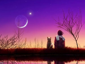 ��������� ����