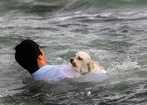 ��������� ����������