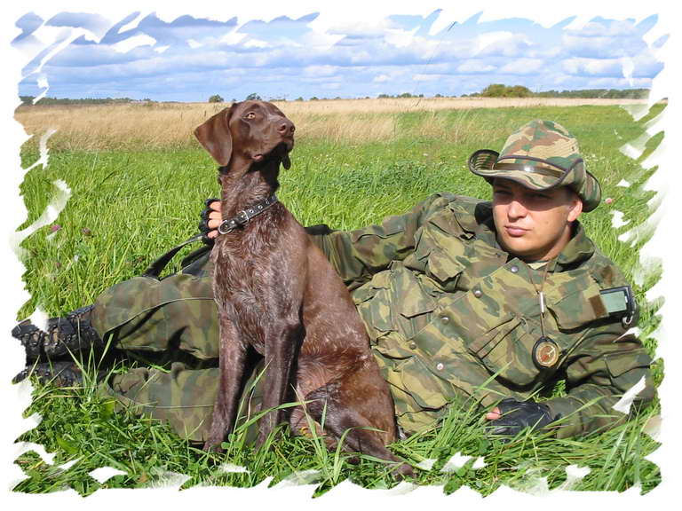 ������� ��������