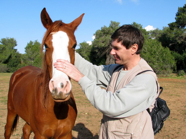 ���� ����������