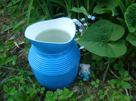 Надежда Семеновская