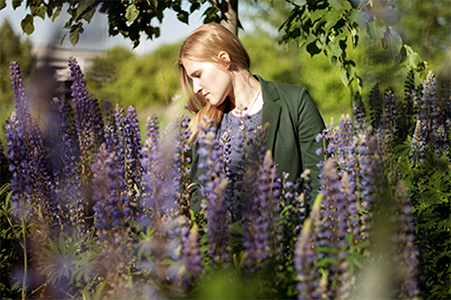 ������ �����