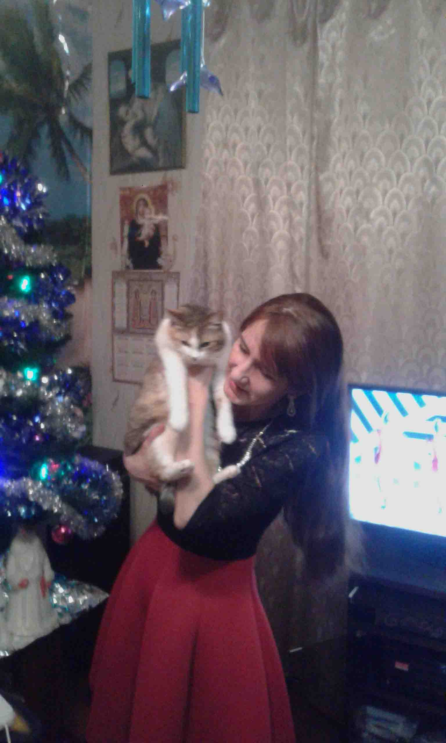 ������ �������