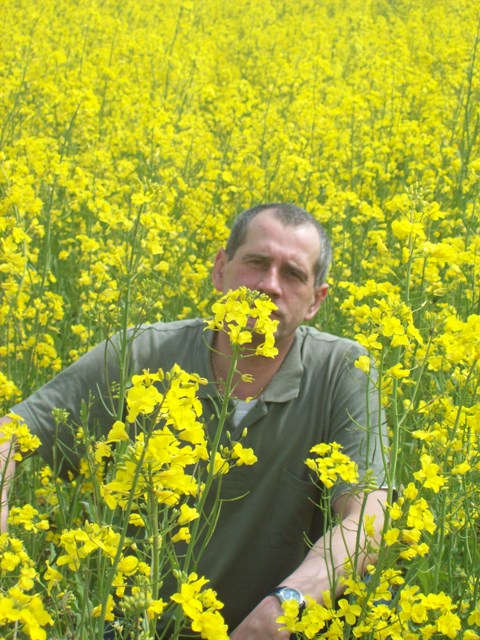 �������� ���������