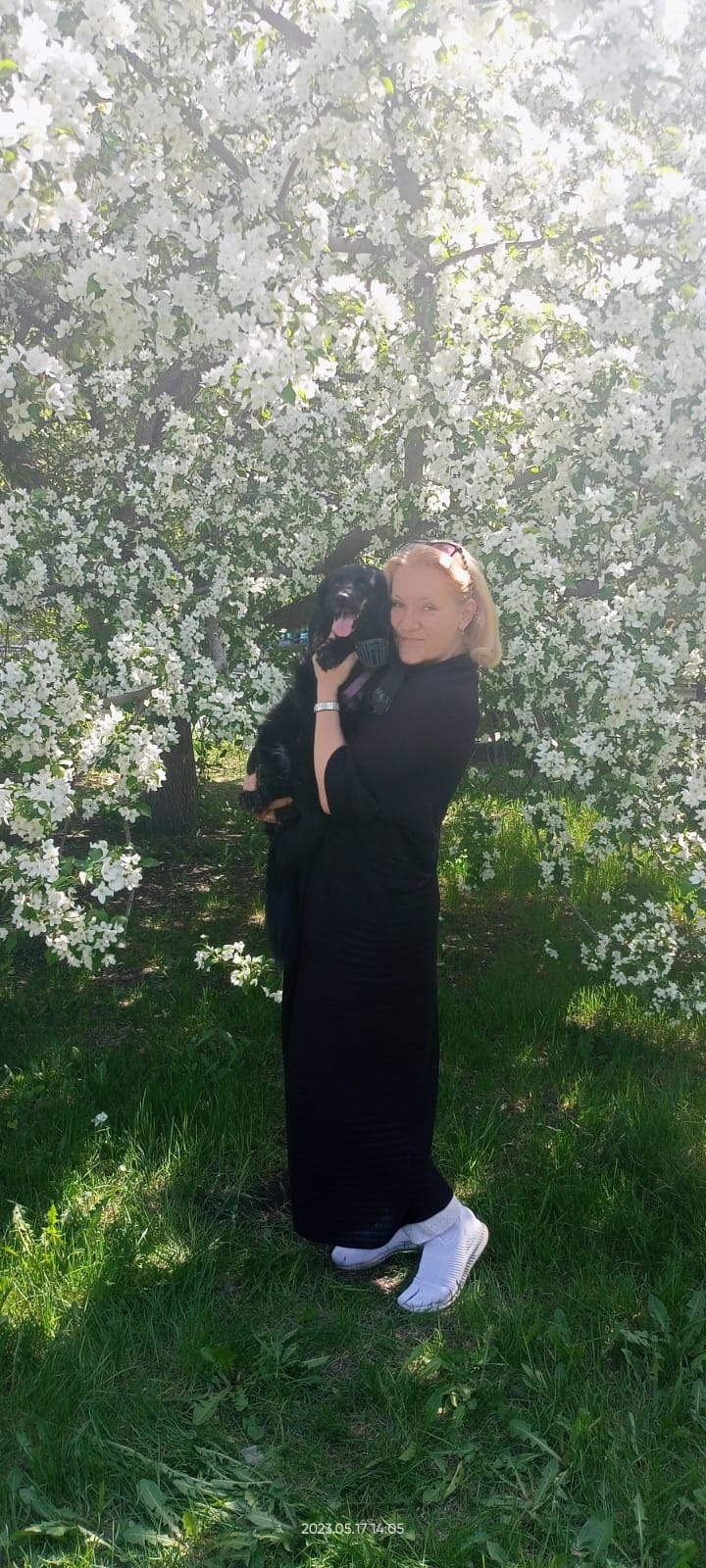 ����� �������� ��������