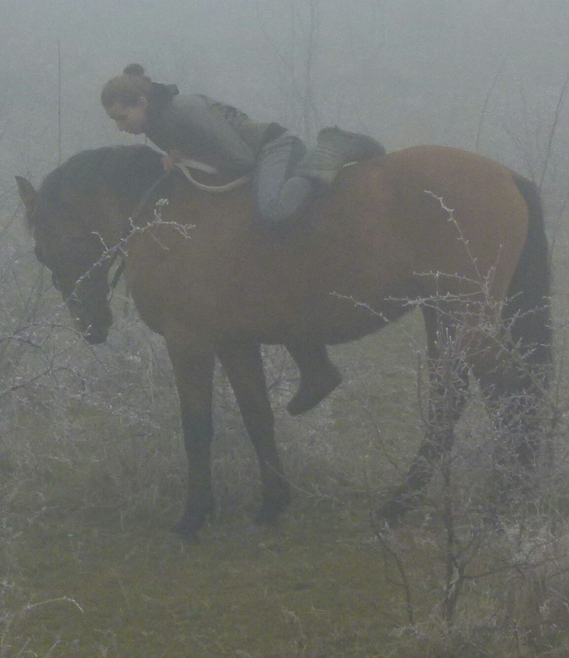 ����� ����������