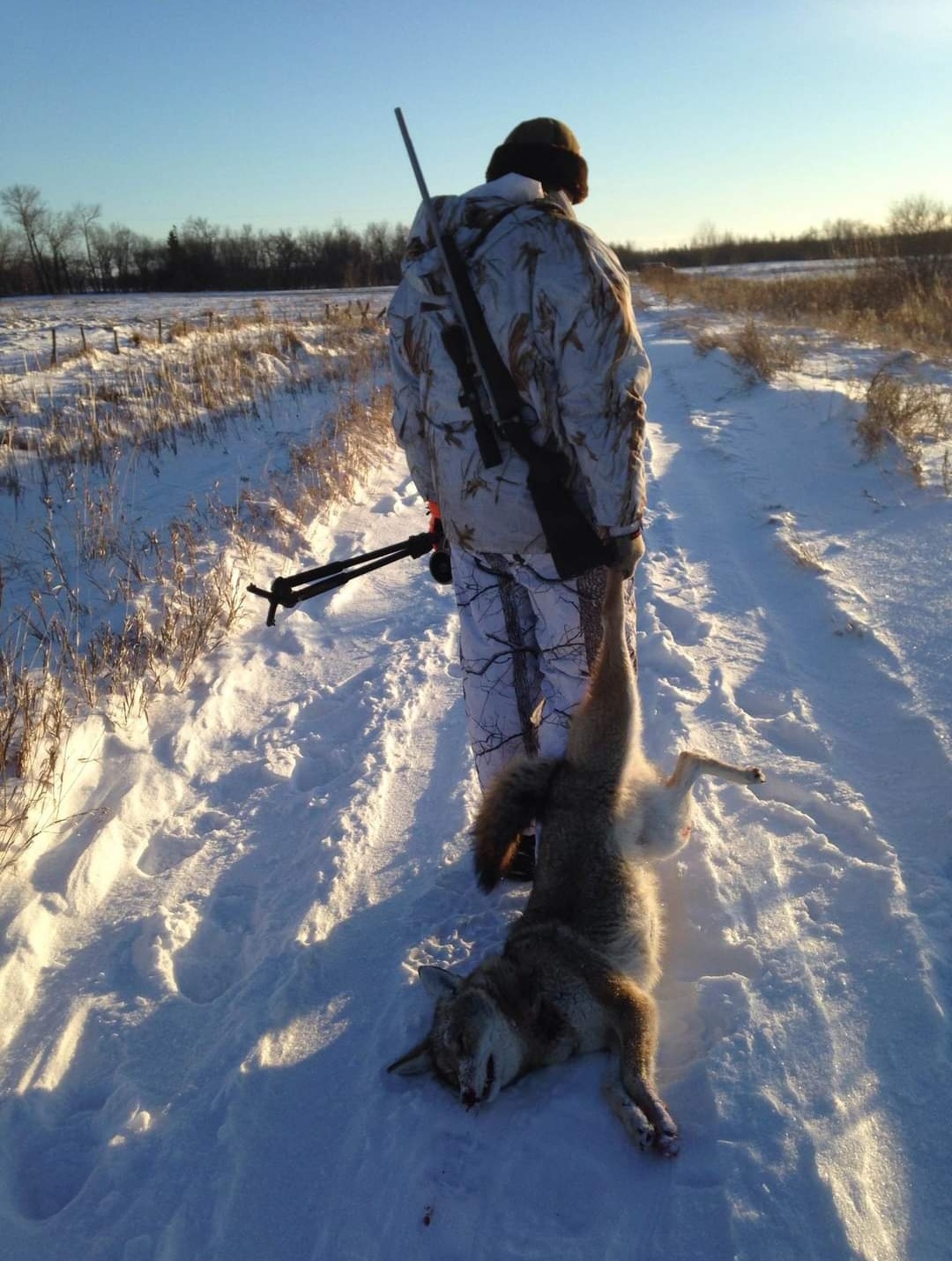 ������ ��������