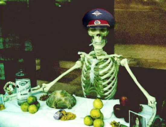 ������ �����