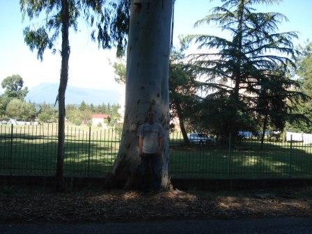 ������ ��