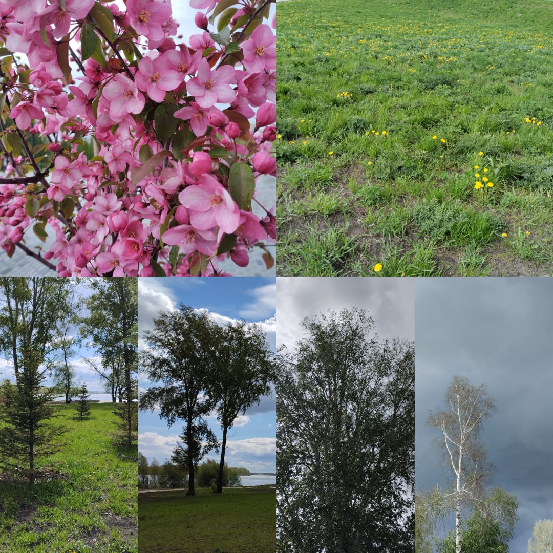 Сергей Холодков