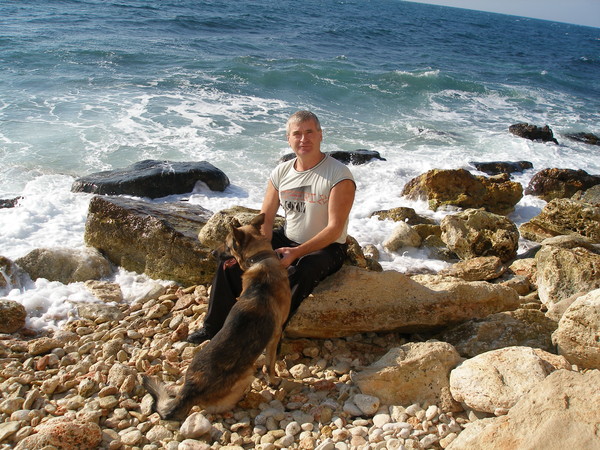 ������ ������