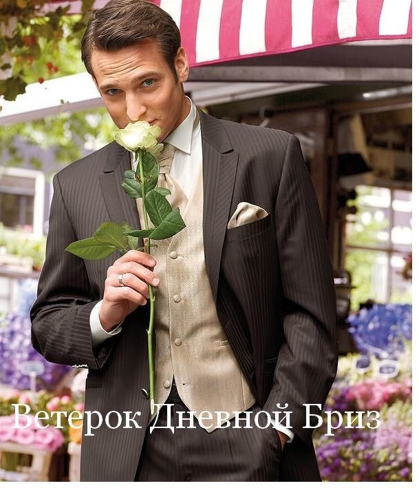 Ветерок Дневной Бриз