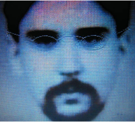 ���� ���������