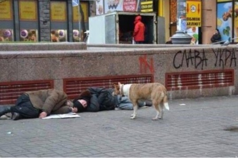 ������ ������