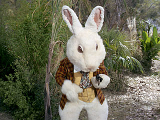 Денис Козак