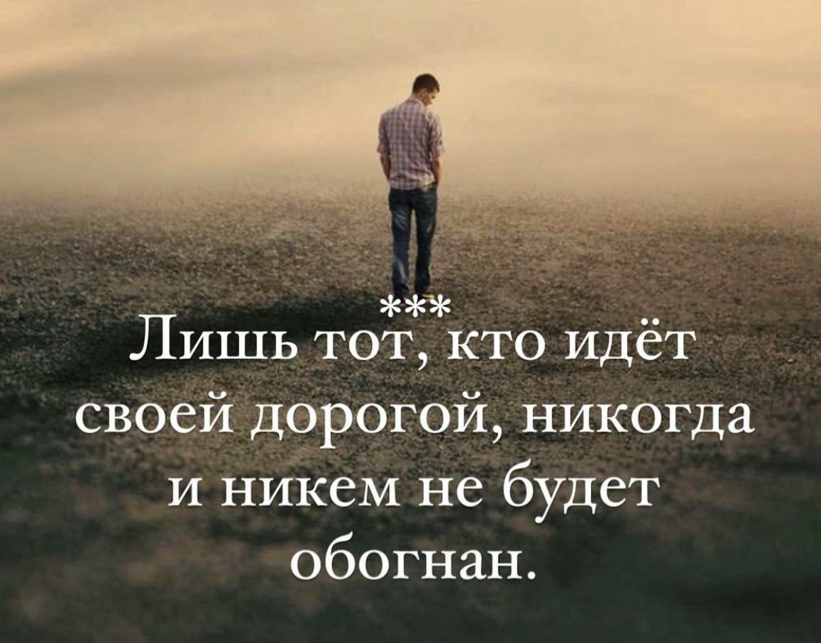 ������� �����������