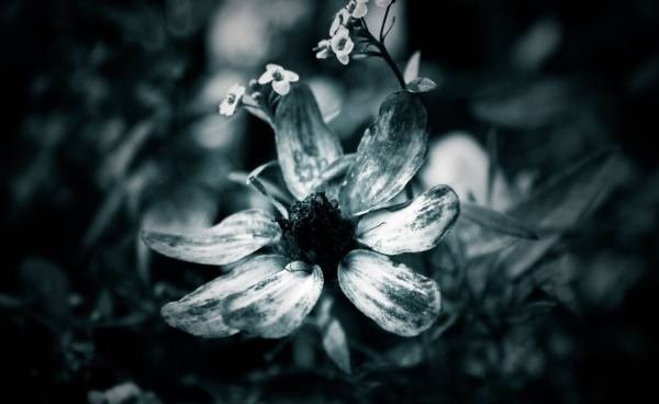 Марианна Мешева