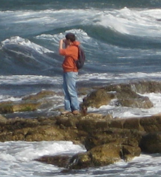 ������ ������