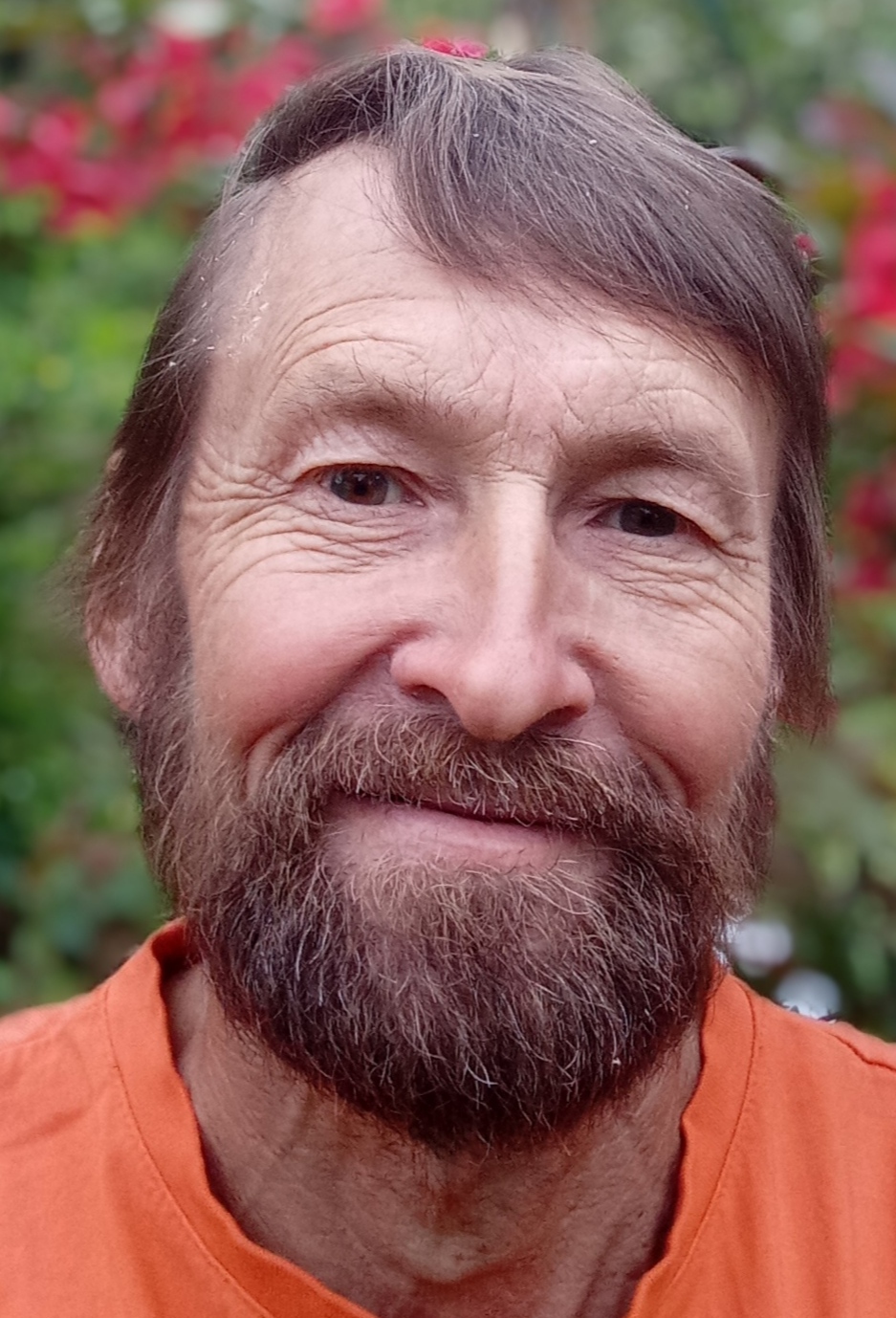 ������ �����