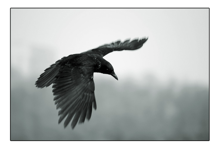 Евгений Шамильпан