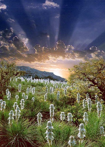 ��������� �����