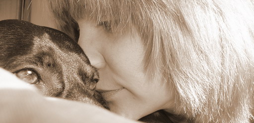 ���� ����������