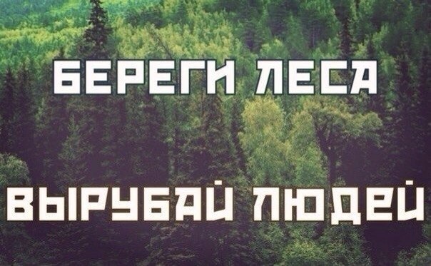 ���� ����