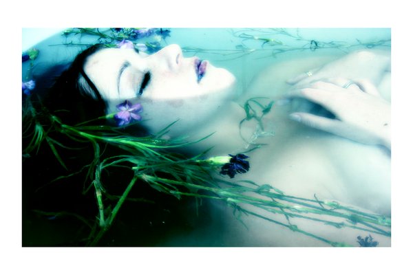 ���� ������