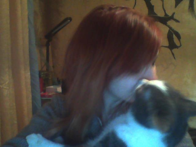 ���� ���