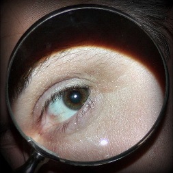 ������ ������