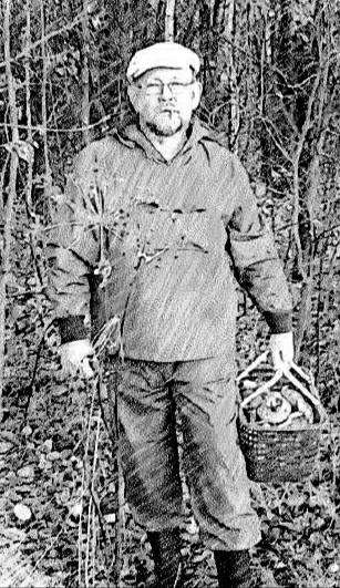 ������ ����