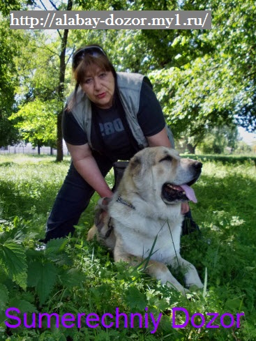 ������� ��������