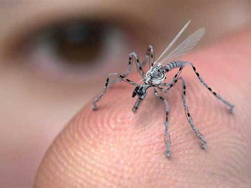 ��� ���������