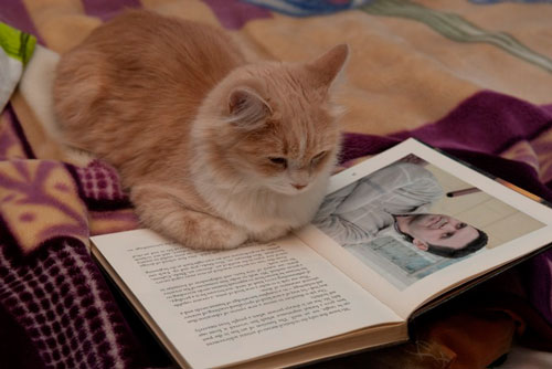 ������ �������