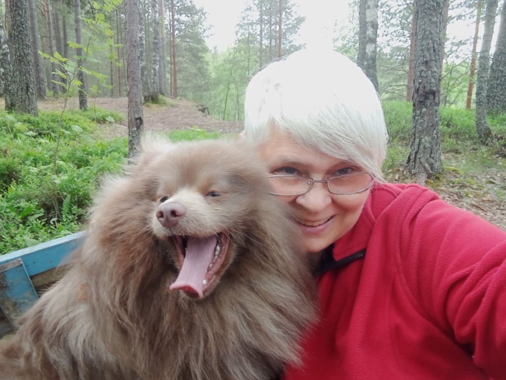 ���������� ��������