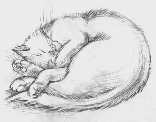 �.��������