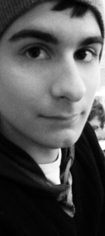 Тема Городетский