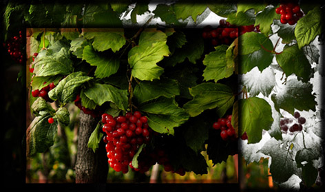 ������� �������� 3