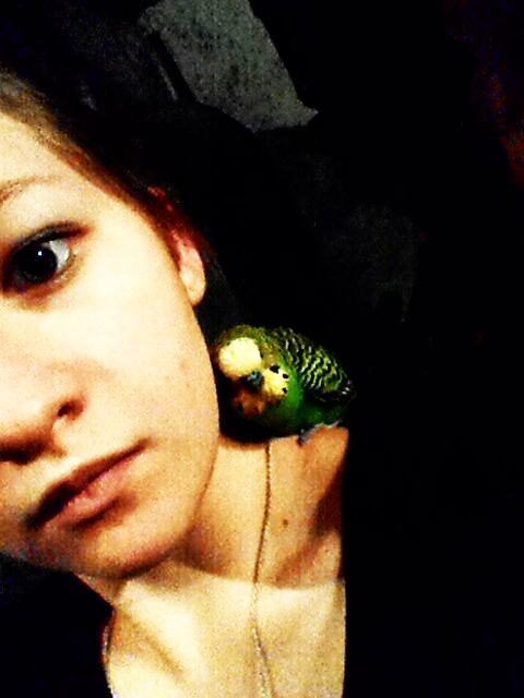 ���������� �����