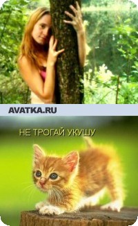 ���� ���������