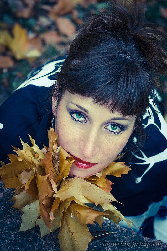 ����� ����������