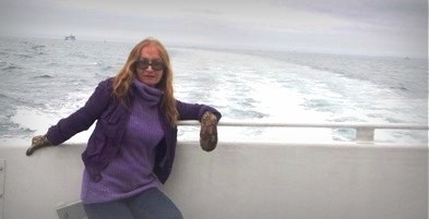 ���� ������