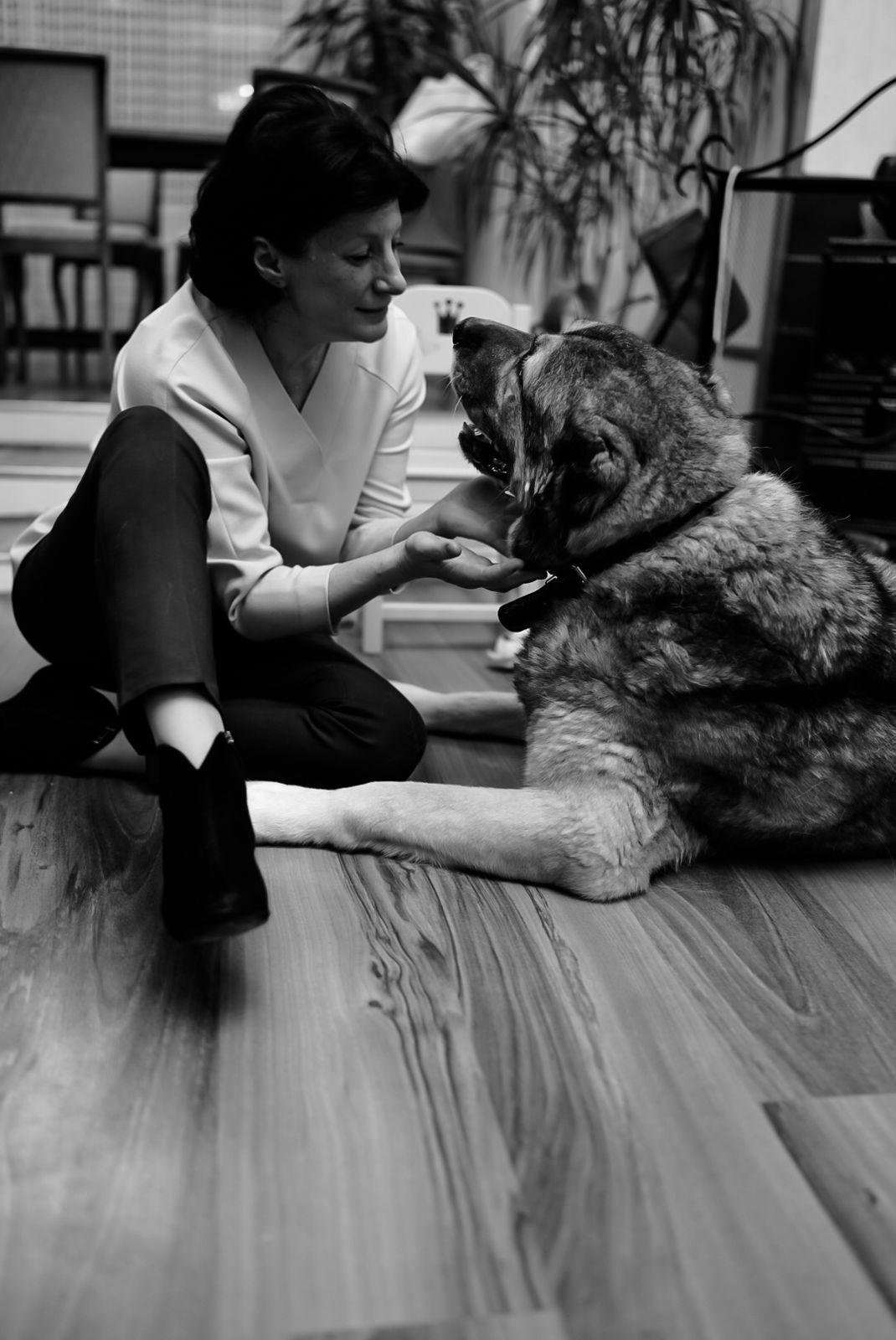 ������ ��������