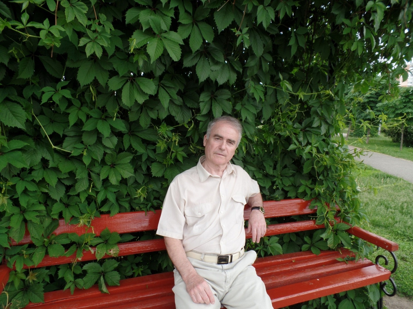 �������� ����������