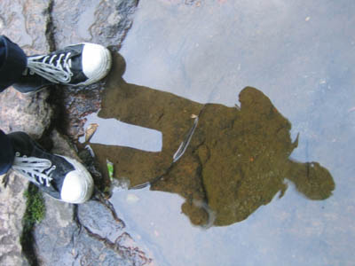 ��������� ��������