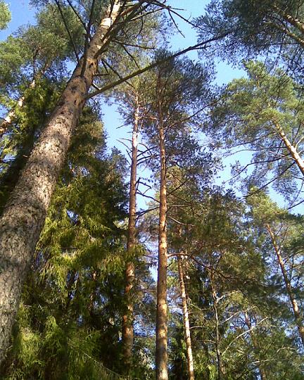 Амбар Сказок