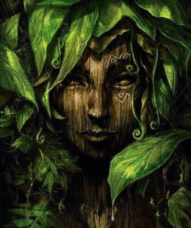 Николь Лоренса