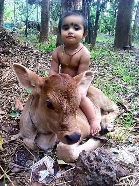 �������