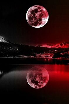 �������� ��������